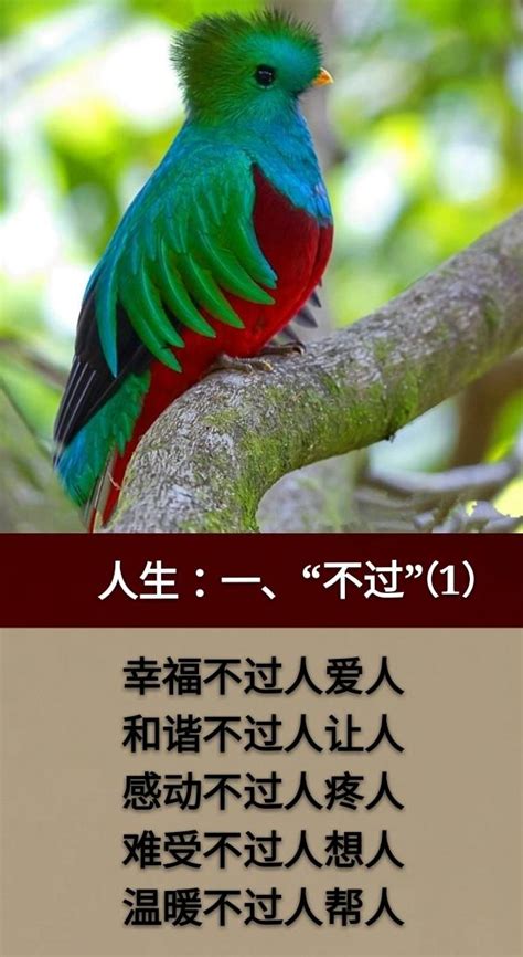 不過五|【不過五】不可錯過的「不過五」驚人傳説：風水大師的奇異際遇。